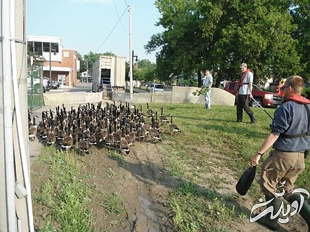 آشنایی با آداب و رسوم عجیب در کشور چین,آداب و رسوم عجیب کشور چین,آداب و رسوم عجیب در کشور چین